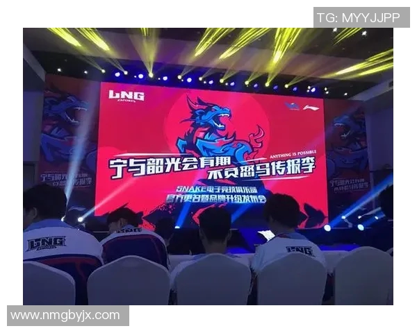 LNG在S15电竞总决赛中展现强大实力的全面分析与点评